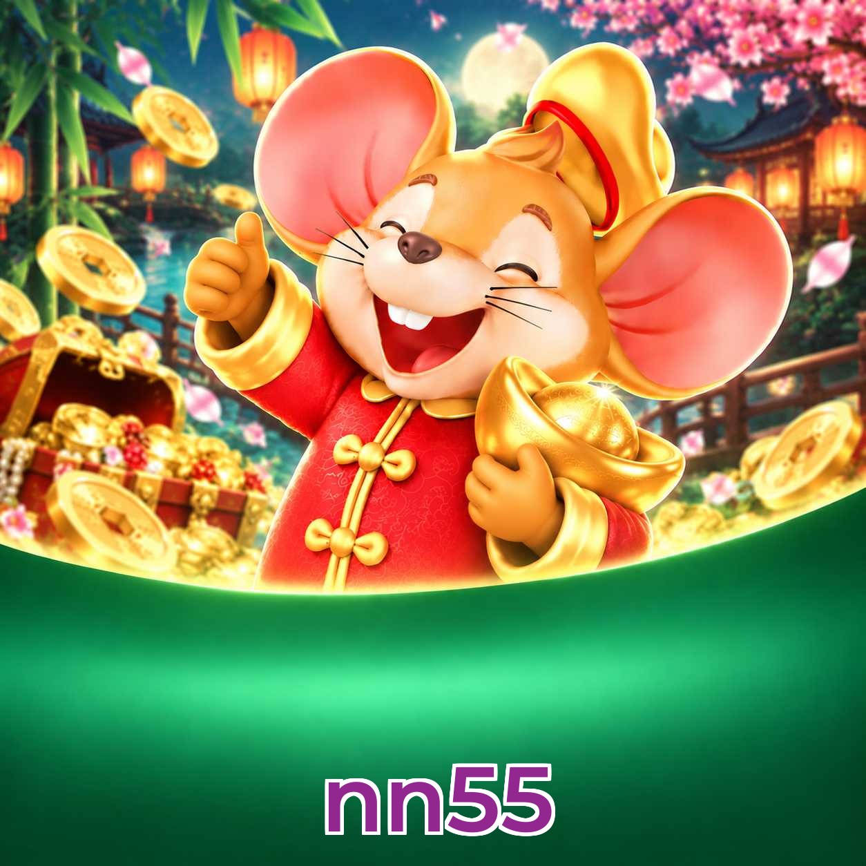 nn55 Logo