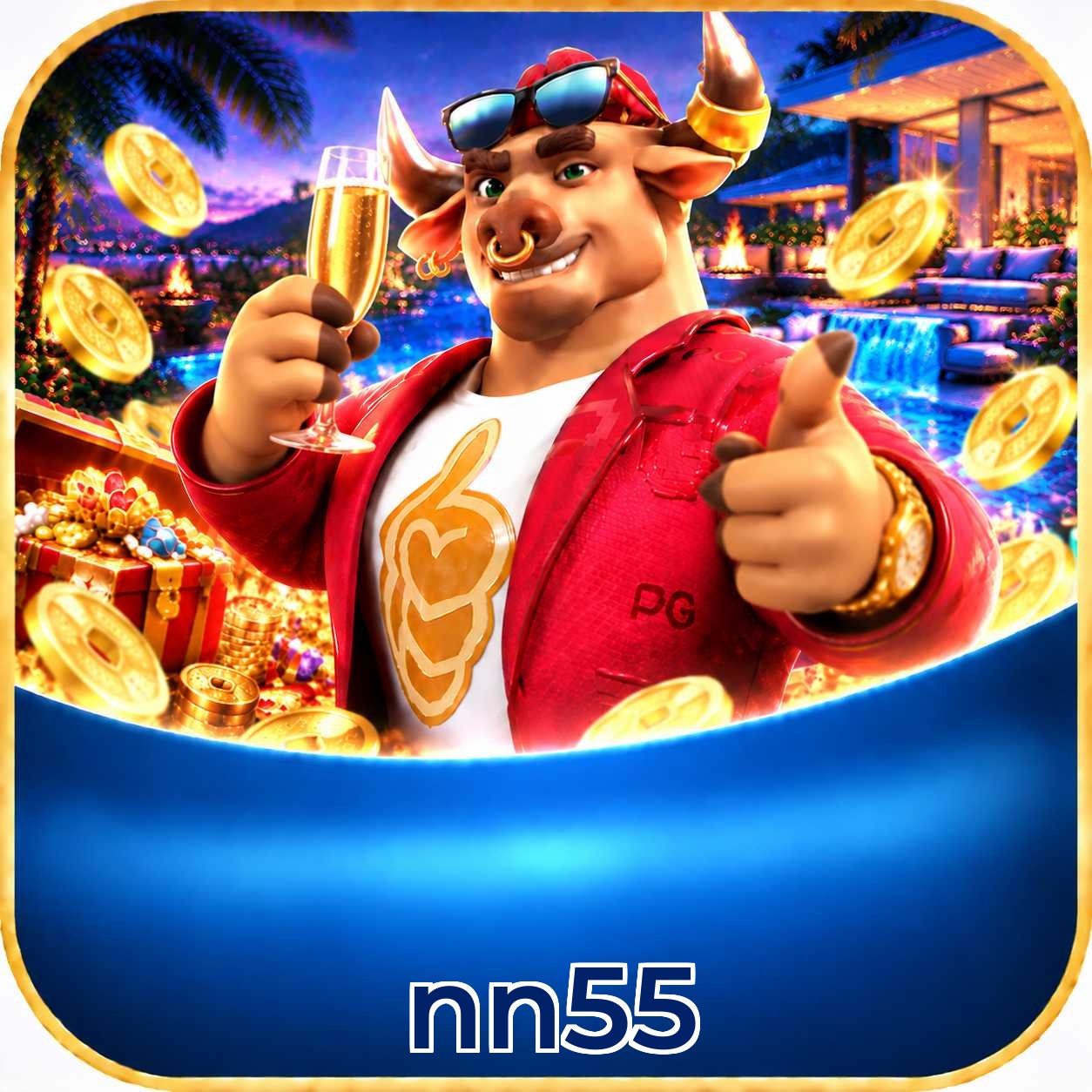 nn55 VIP FAQ
