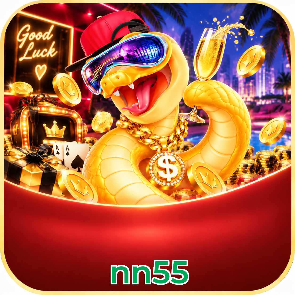 nn55 App Features