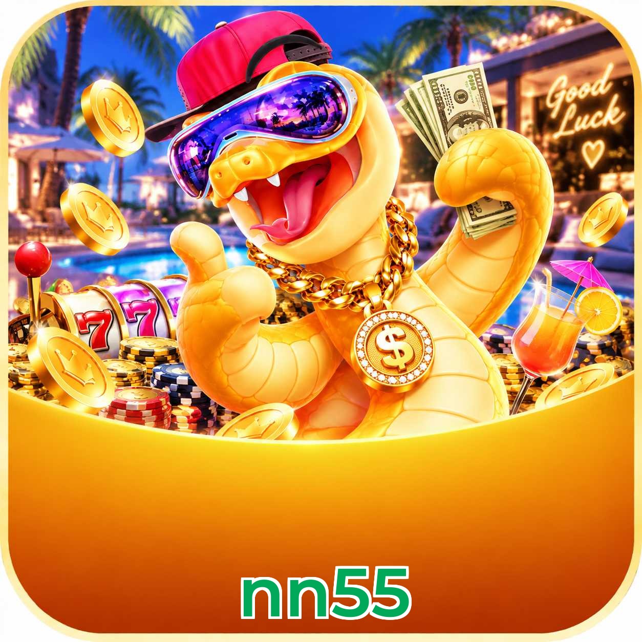 nn55 Version History