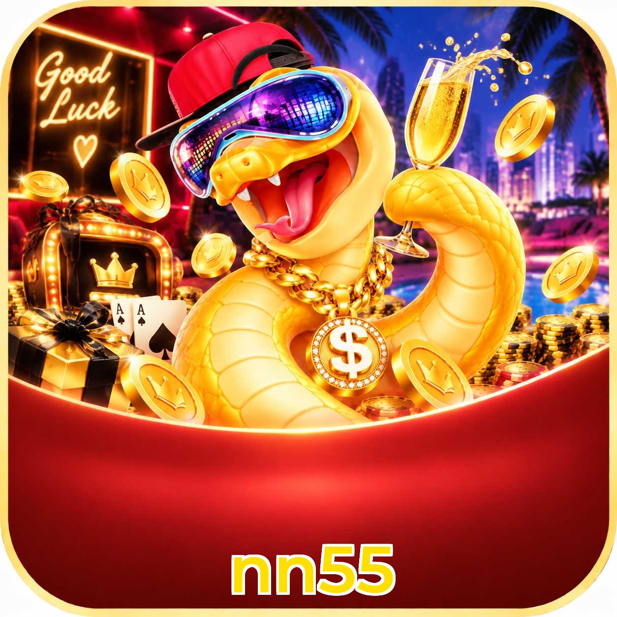 nn55 VIP Program