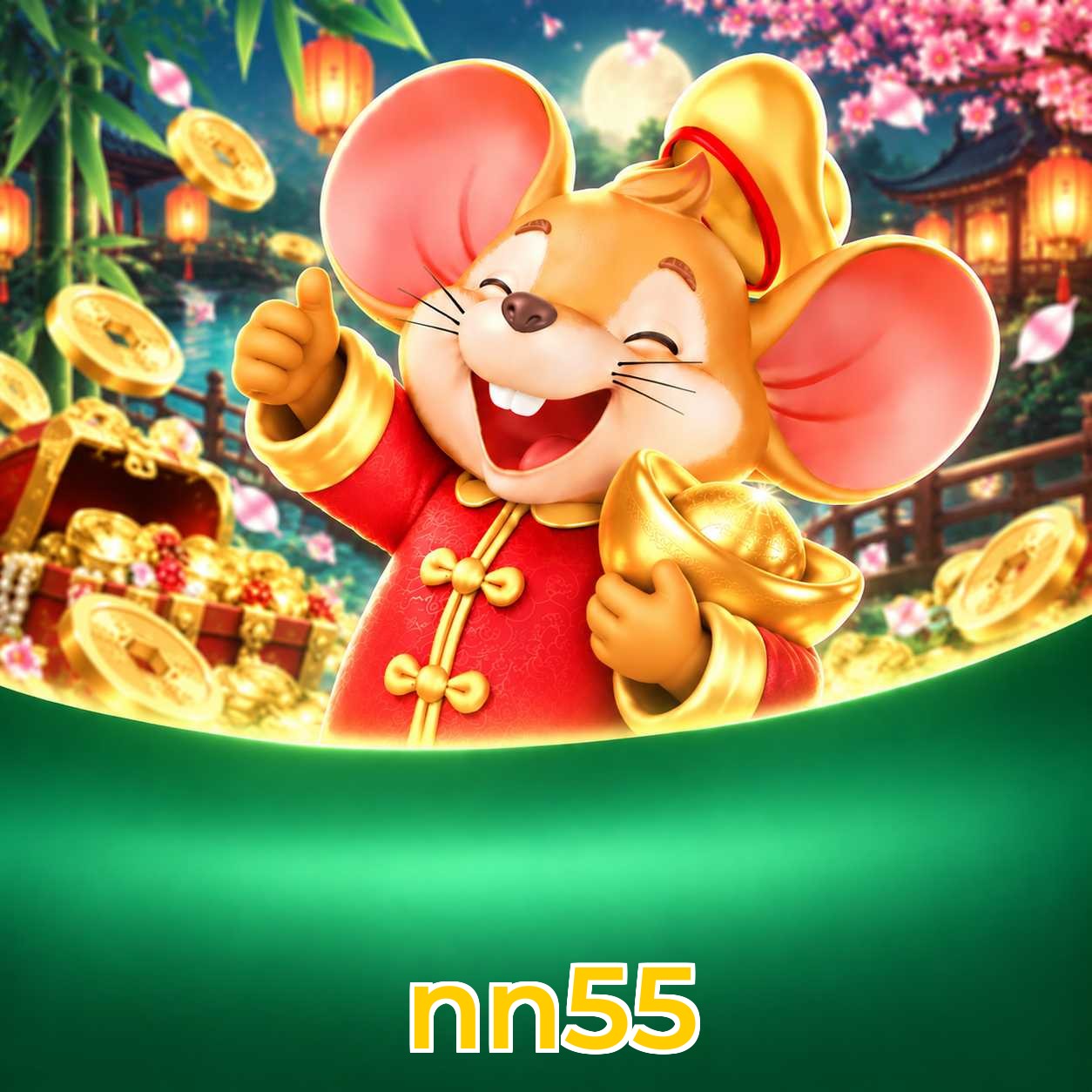 nn55 FAQ instalar app