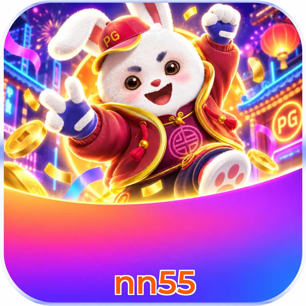 nn55 Installation Guide