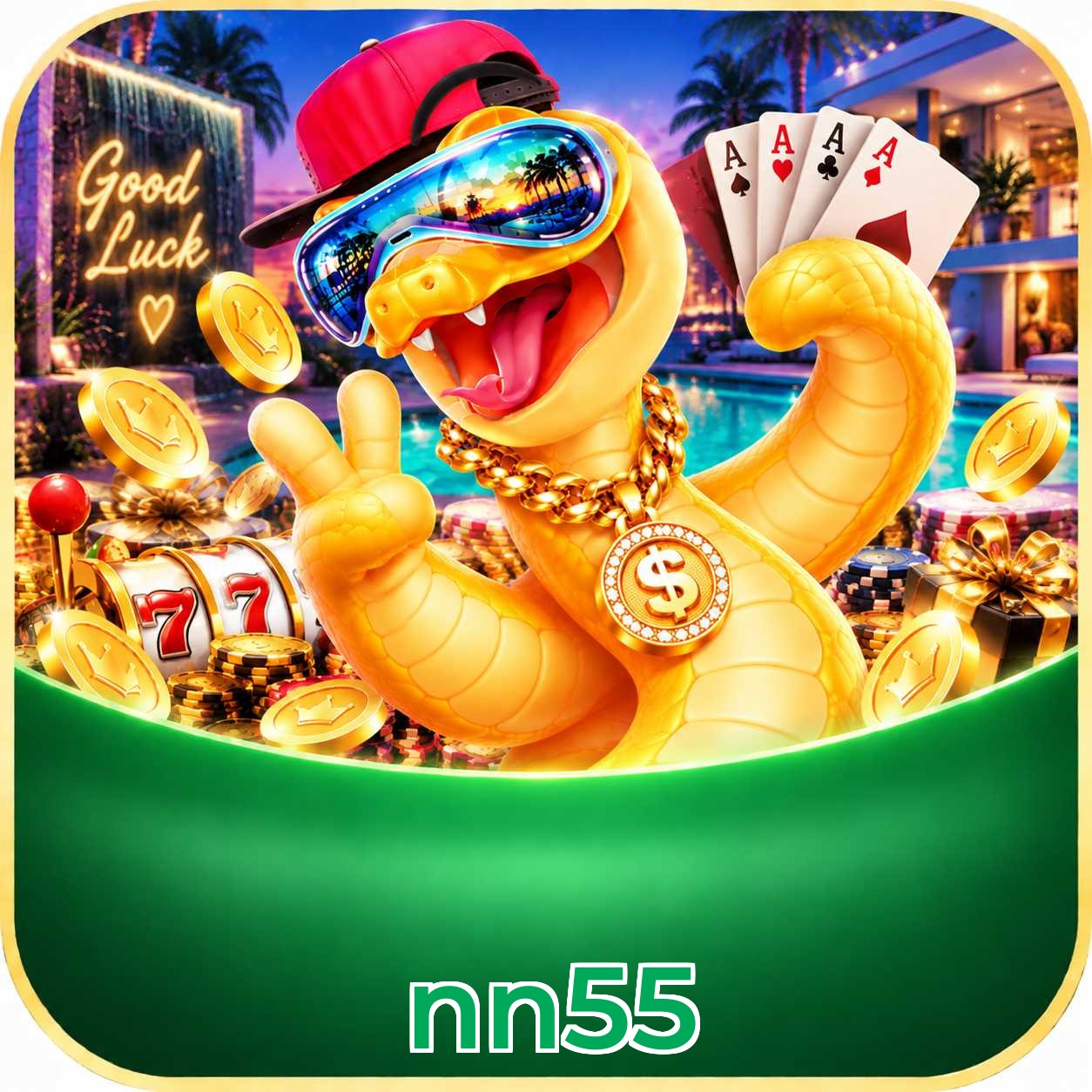 nn55 FAQ