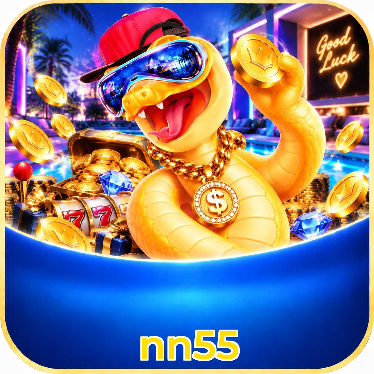 nn55 Logo