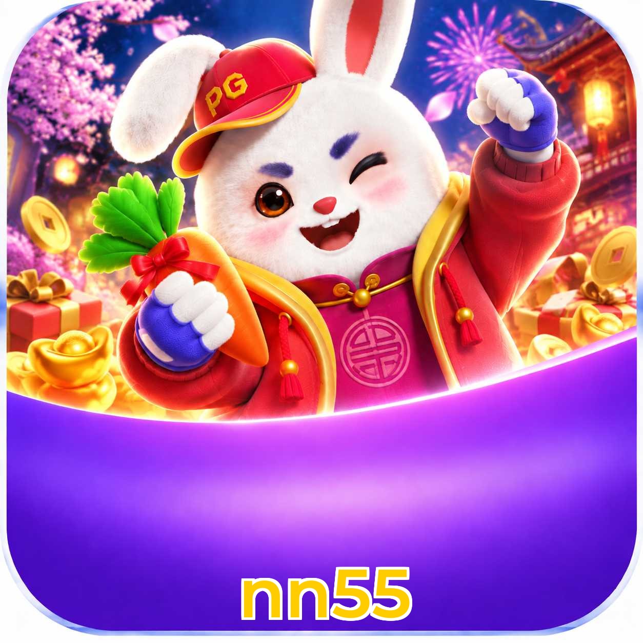 nn55 Logo