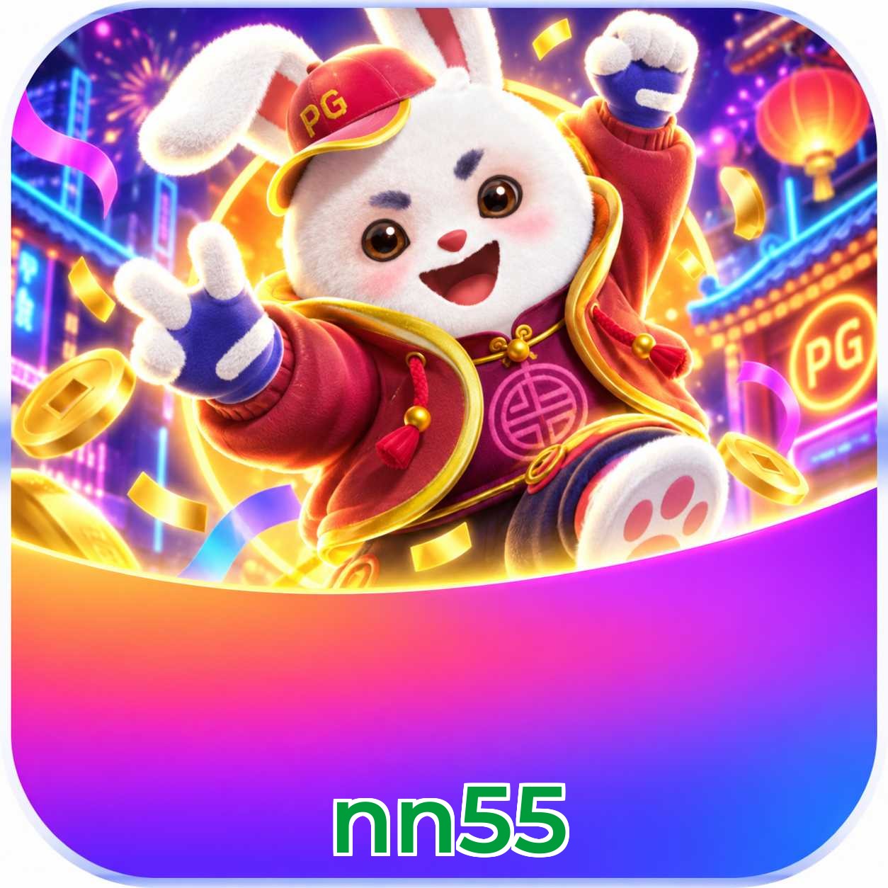 nn55 FAQ